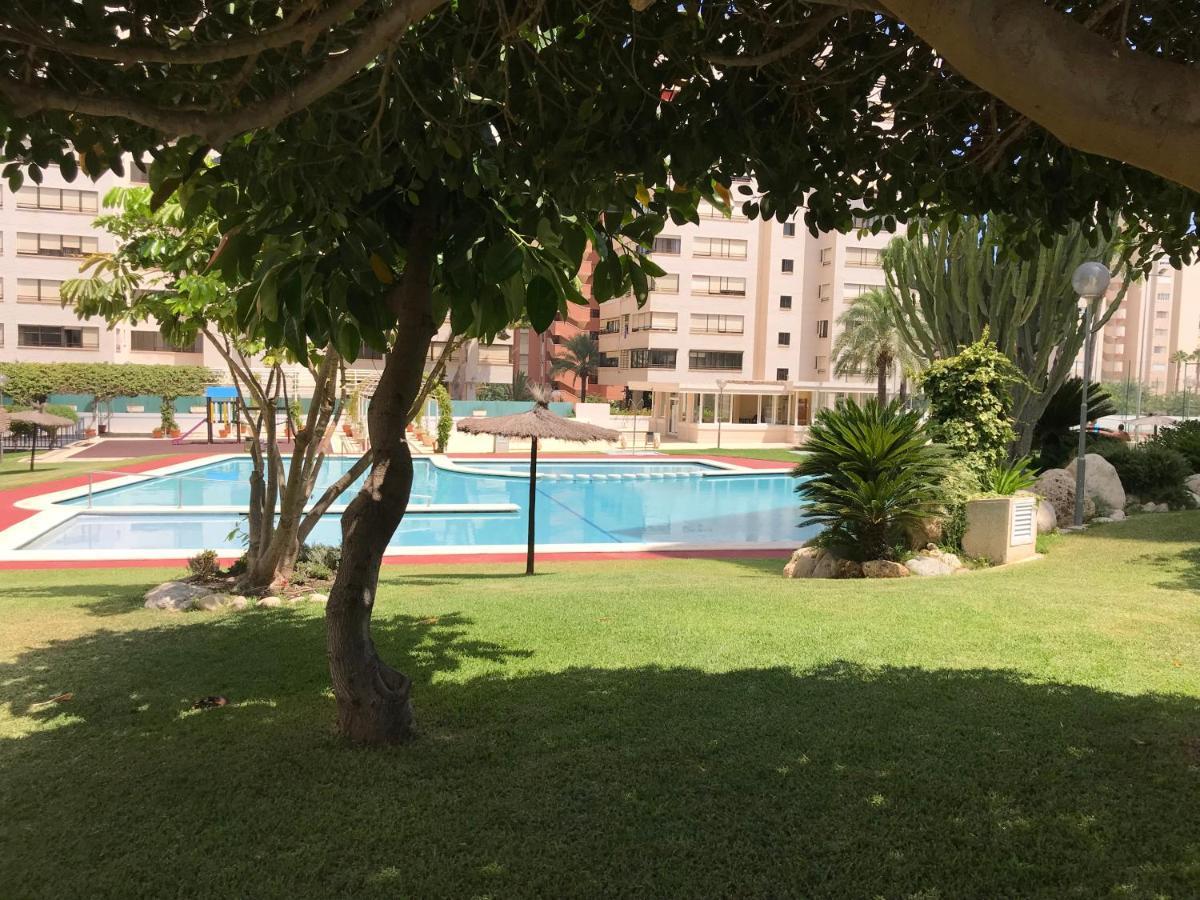 Playa Dos Avenidas Alicante Dış mekan fotoğraf