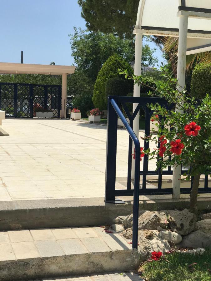 Playa Dos Avenidas Alicante Dış mekan fotoğraf