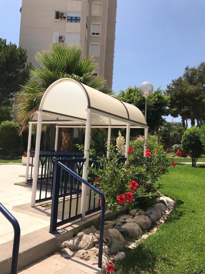 Playa Dos Avenidas Alicante Dış mekan fotoğraf