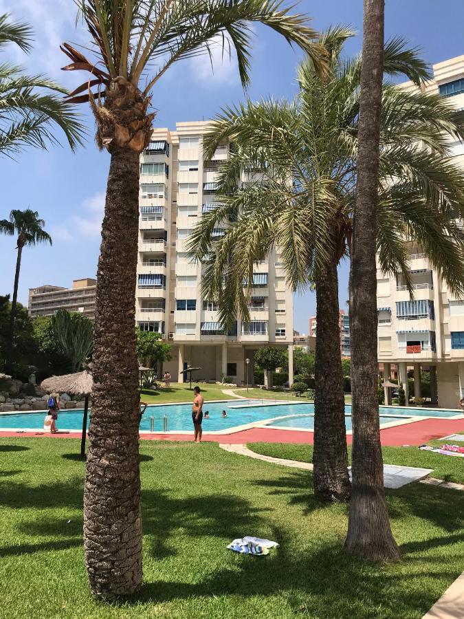 Playa Dos Avenidas Alicante Dış mekan fotoğraf